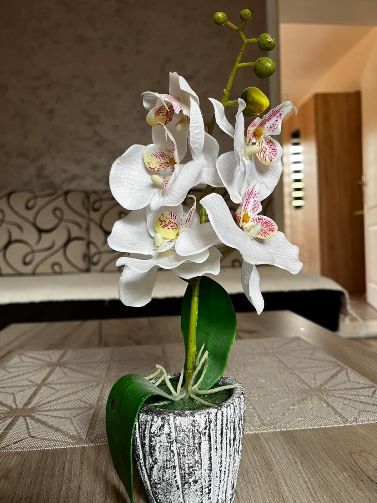 Apartmani Nikolic Višegrad الغرفة الصورة
